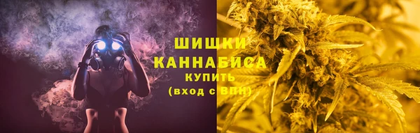 стафф Ельня