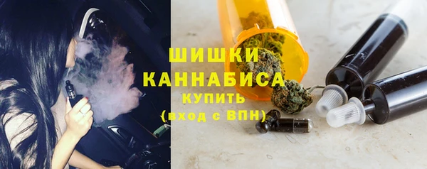 стафф Ельня