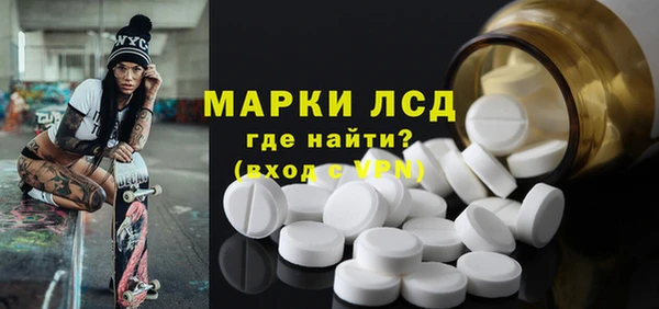 стафф Ельня