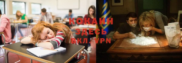 PSILOCYBIN Елабуга