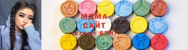 стафф Ельня