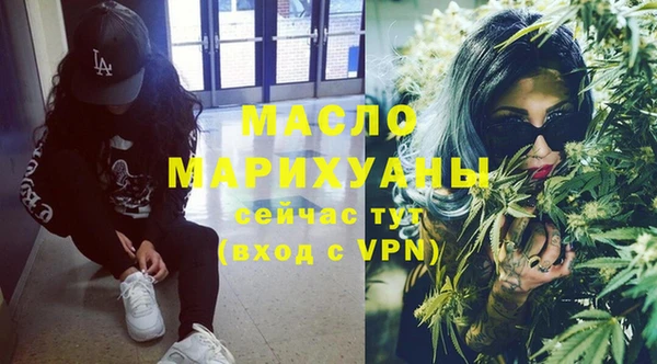 стафф Ельня