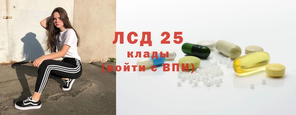 стафф Ельня