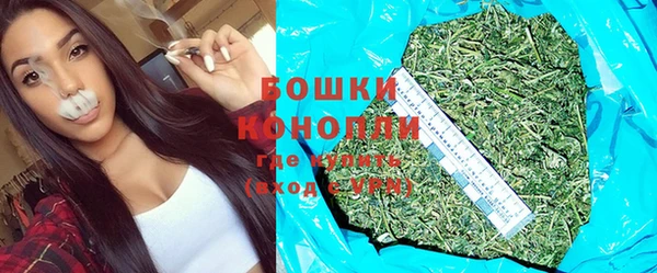 стафф Ельня