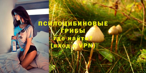 хмурый Елизово