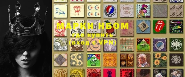 PSILOCYBIN Елабуга