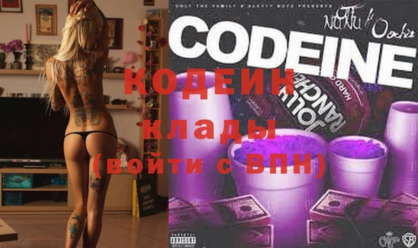 стафф Ельня