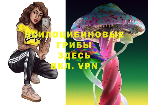 PSILOCYBIN Елабуга