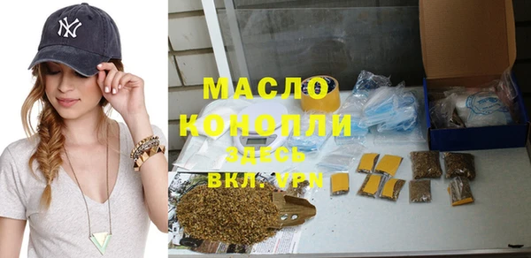 стафф Ельня