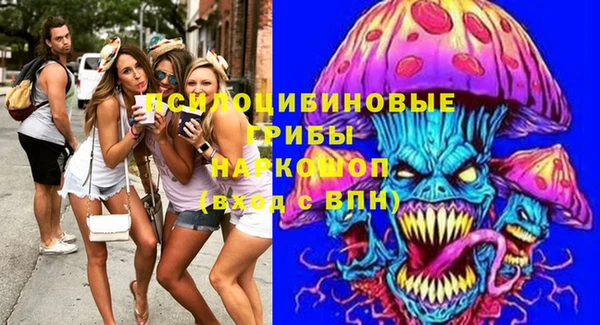 хмурый Елизово