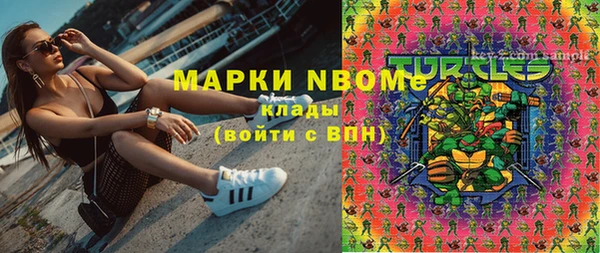 хмурый Елизово